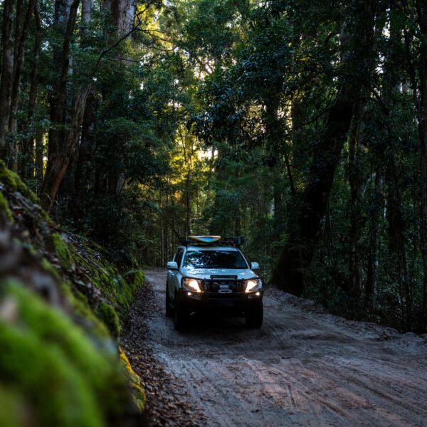 Zalety i wady samochodów z napędem na cztery koła – kiedy warto na nie postawić?